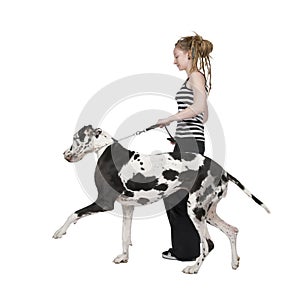 Young girl walking his dog (Great dane 4 years) ha