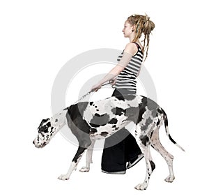 Young girl walking his dog (Great dane 4 years) ha