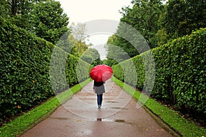 Young girl walks along the green alleys from the bushes in the rain with red umbrella