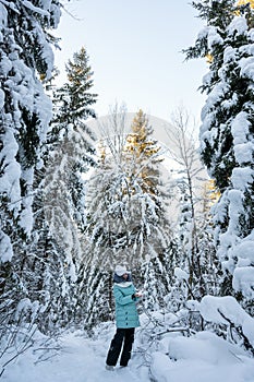 young girl walks in winter forest among tall fir trees covered with snow. Girl is wearing warm jacket