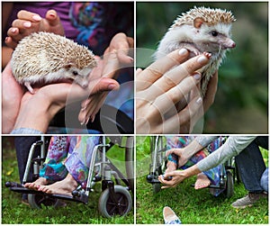 Young girl in a wheelchair holding hedgehog