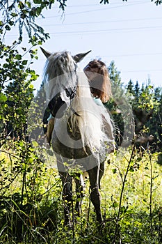 Young girl and white horse on nature in summer