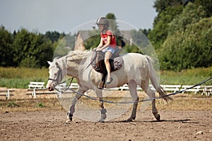 A young girl and white pony horse