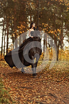 Young girl witch a black widow in a black dress and a tiara gallops horseback on a Friesian horse in the morning fog