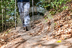 Young girl woman Hiking schoes and sticks detail view in the forest outdoor activity in nature