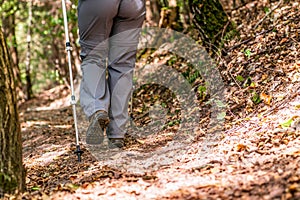 Young girl woman Hiking schoes and sticks detail view in the forest outdoor activity in nature