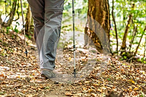 Young girl woman Hiking schoes and sticks detail view in the forest outdoor activity in nature