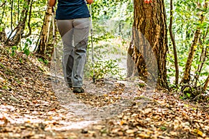 Young girl woman Hiking schoes and sticks detail view in the forest outdoor activity in nature