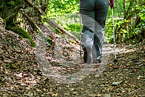 Young girl woman Hiking schoes and sticks detail view in the forest outdoor activity in nature