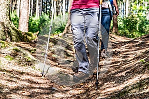 Young girl woman Hiking schoes and sticks detail view in the forest outdoor activity in nature