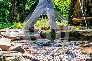 Young girl woman Hiking schoes and sticks detail view in the forest outdoor activity in nature