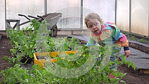 Young girl working in greenhouse, planting and taking care of flowers. Gardening concept