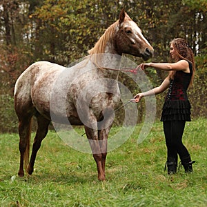 Young girl working with horse, natural horsemanship