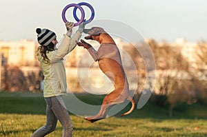 Young girl in yellow coat playing with the jumping dog ridgeback and pullers in autumn time