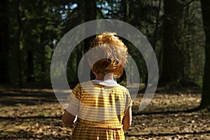 Back of a young girl in a yellow dress exploring woodland