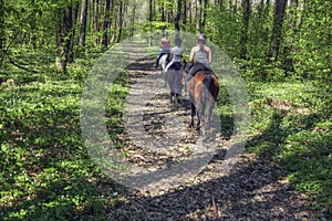 Young girls riding on horseback through the forest