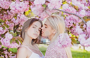 Young girls and spring flowers. Portrait of a two beautiful young women relaxing in sakura flowers. Lesbian couple