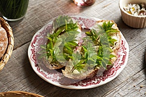 Young goutweed leaves on slices of sourdough bread