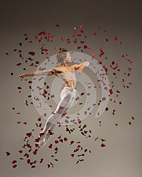 Young and graceful ballet dancer on studio background with rose petals. Art, motion, action, flexibility, inspiration