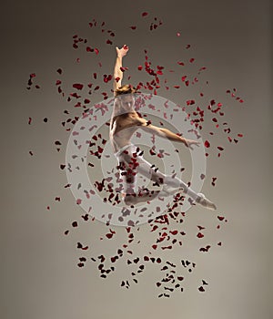 Young and graceful ballet dancer on studio background with rose petals. Art, motion, action, flexibility, inspiration