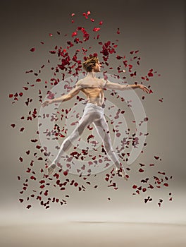 Young and graceful ballet dancer on studio background with rose petals. Art, motion, action, flexibility, inspiration