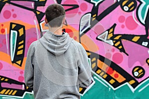 A young graffiti artist in a gray hoodie looks at the wall with