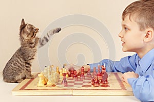 Young grandmaster with playful kitten plays chess.