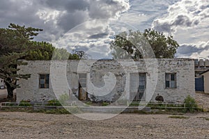 Young greater rhea in front of an old house in Patagonia, Argentina