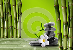 Young, green bamboo in the background boke