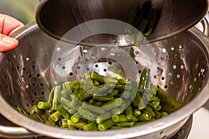 Young green bean, green bean pods, preparing the podole