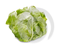 Young green cabbage isolated on white background