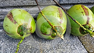 Young green coconuts with nutrient, health benefits, dietary fib