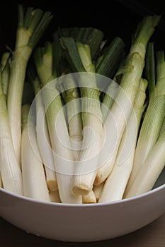 Young green onions calcots