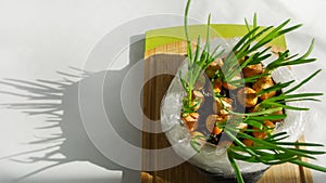 Young green onions stand on the table and cast a shadow. Onions are grown for seedlings in a plastic bag. Flat lay