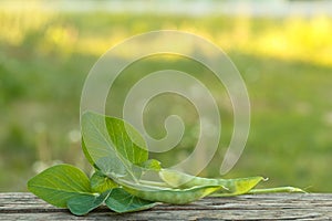 Young green peas on a wooden board