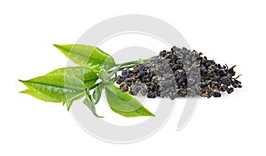 Young green tea leaves and dry green tea isolated on a white background