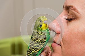 Young green wavy  parrot kisses the nose of a young woman