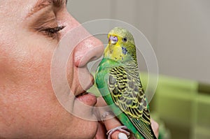 Young green wavy  parrot kisses the nose of a young woman