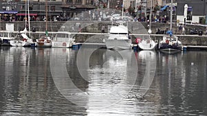 A young grey Seagull is swimming in the Harbor of Honfleur, France
