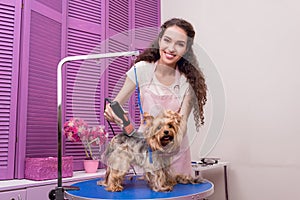 Young groomer trimming yorkshire terrier dog with trimmer and smiling at camera