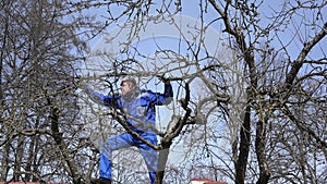 Young grower man pruning branches with shears high on tree on blue sky