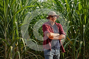 Young grower sugar cane portrait in the plantation