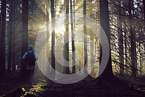 Young guy with a backpack standing in a forest in the mist at sunrise