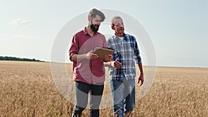 Young guy and his dad farmer walking through the wheat field and discussing something concept of agriculture and farming