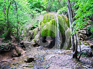 A young guy is standing inside a waterfall in a cave, around a wild forest