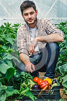 Young guy working in a greenhouse.