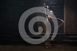 Young gymnast showing her twine on the dark background