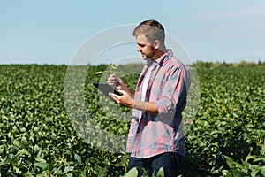 Young handsome agriculture engineer on soybean field with tablet in hands in early summer