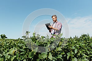 Young handsome agriculture engineer on soybean field with tablet in hands in early summer