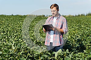 Young handsome agriculture engineer on soybean field with tablet in hands in early summer